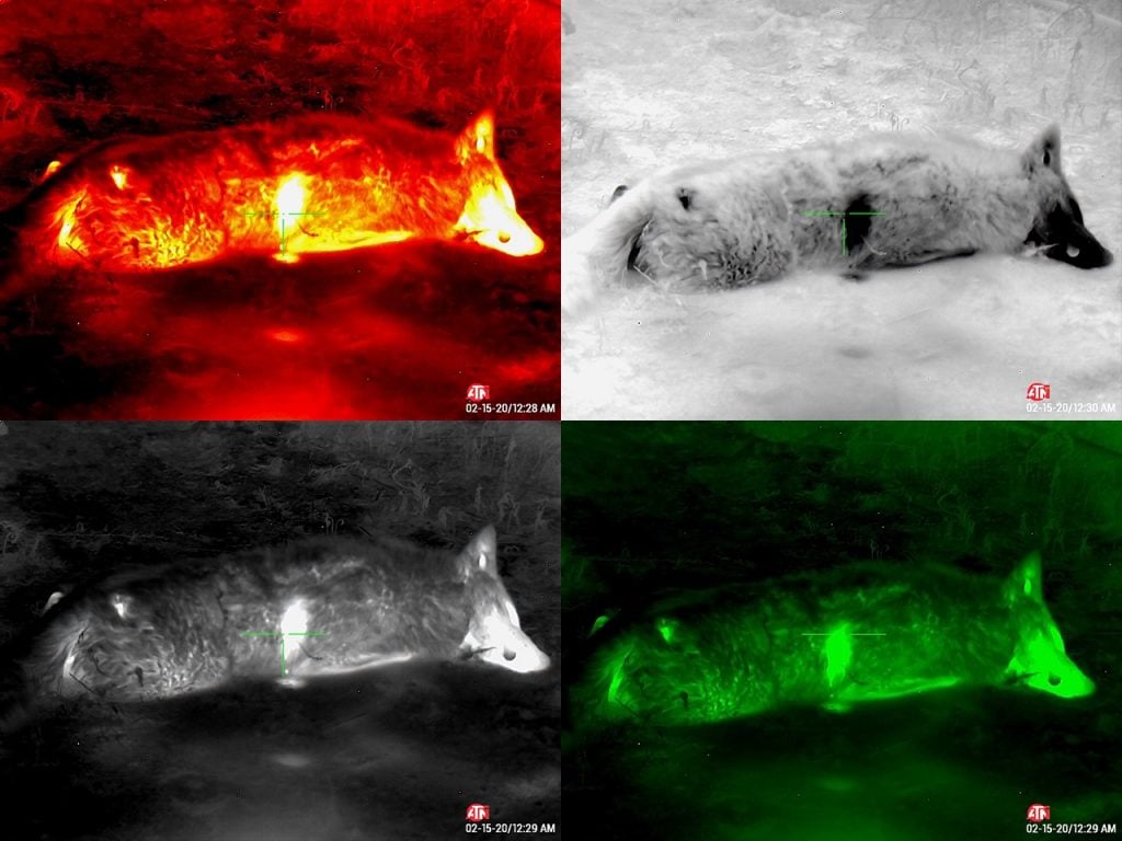 4 Best Thermal Optics for Nighttime Shoots [Guide] - Pew Pew Tactical