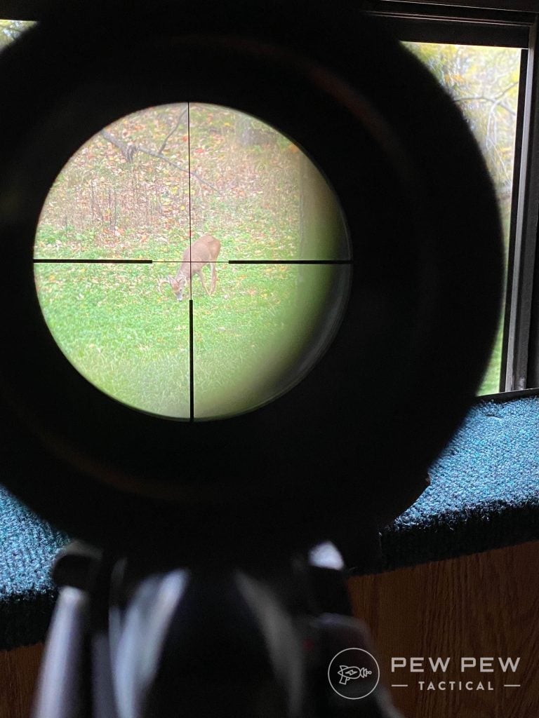 .308 Win vs. 30-06: Which Is Better?
