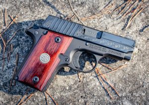 Sig Sauer P238 Review: Best .380 for Concealed Carry? [Field Tested ...