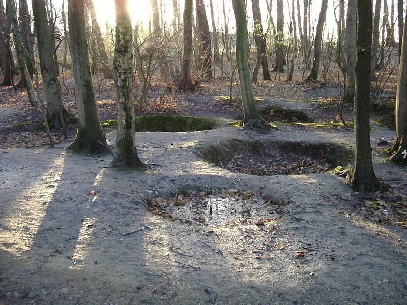 Bomb craters in Sanctuary Wood