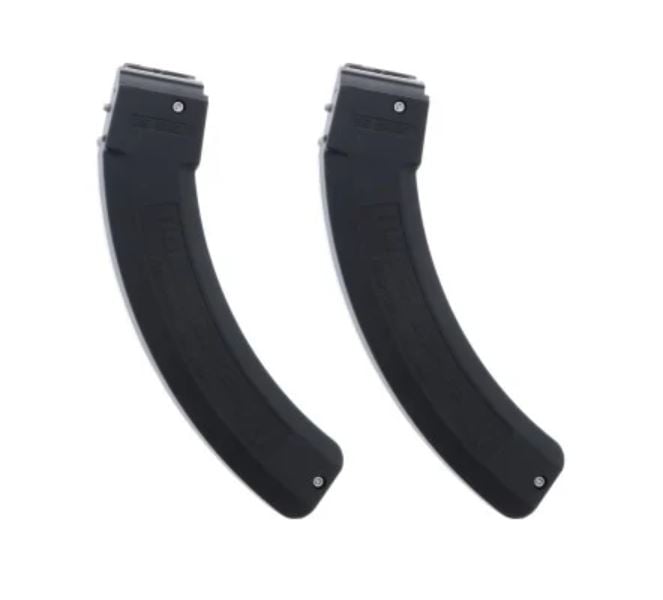 Product Image for Ruger BX-25 Magazine (2-Pack)