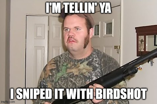 Sniped with birdshot meme