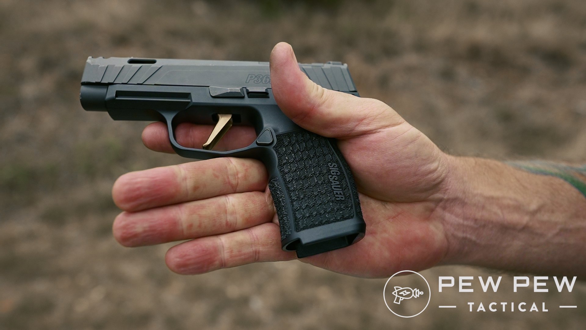 Sig P365 XL Spectre Comp Review: Worth $500 over the P365XL? - Pew Pew ...