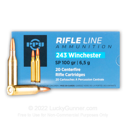 .243 Winchester