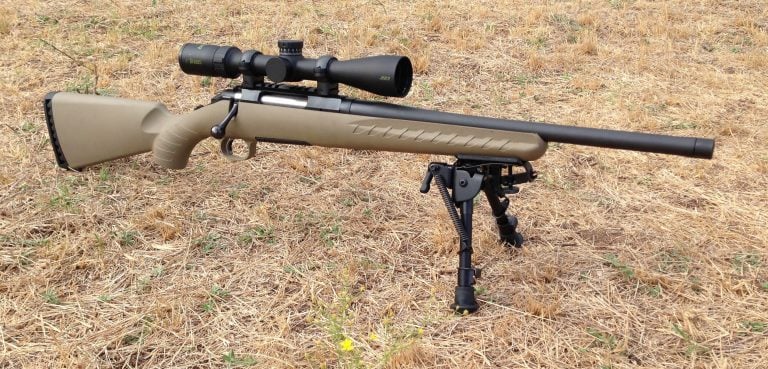 Best Rifles & Calibers for Hog Hunting [Tested] - Pew Pew Tactical