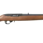 Ruger 10/22