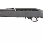 Ruger 10/22