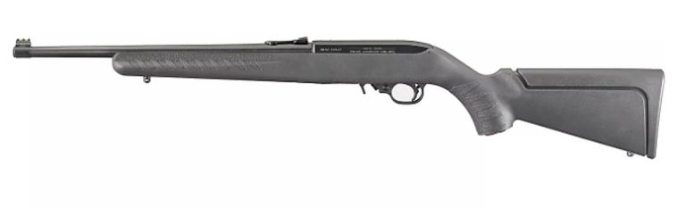 Ruger 10/22