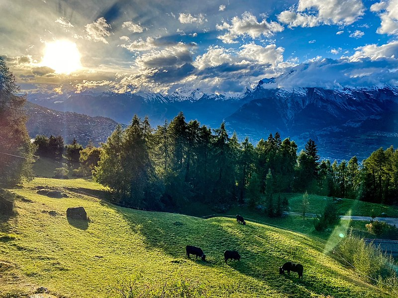 Swiss Mountains