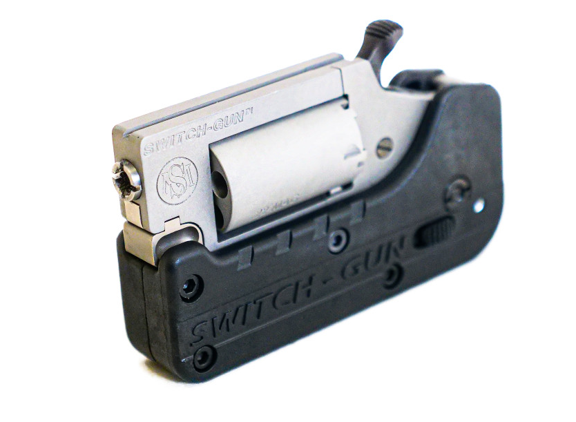 Standard Manufacturing Switch 2