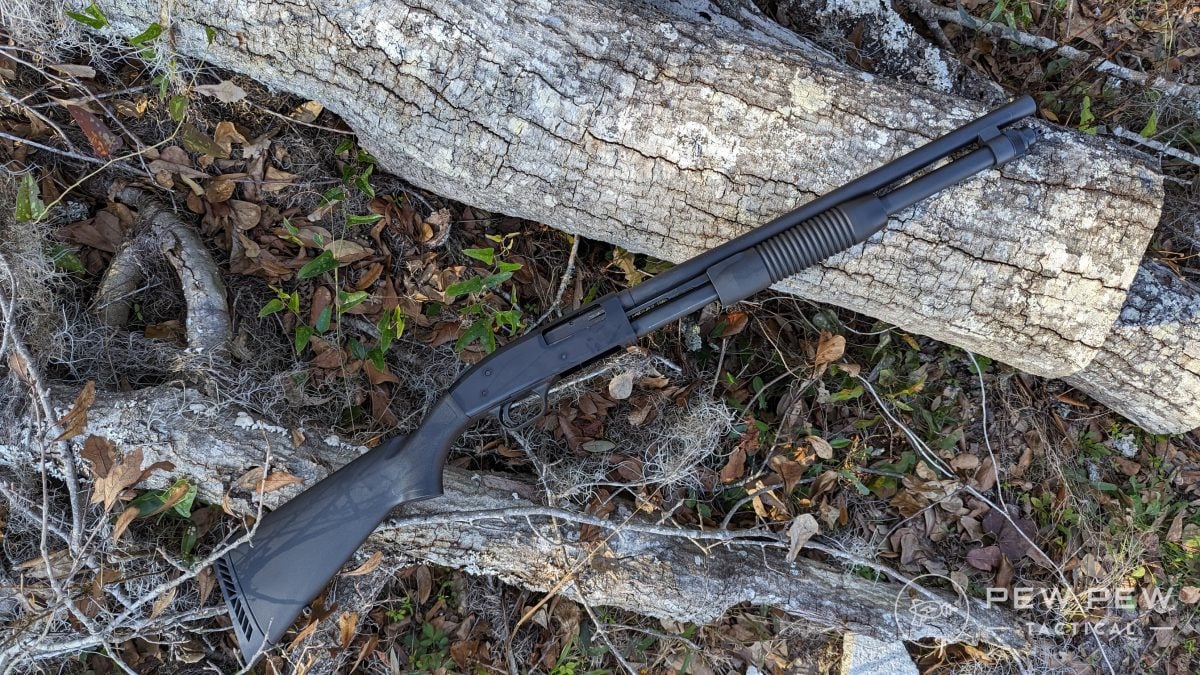 Mossberg 590 Tactical Review: Best 20-Gauge Pump Shotgun? - Pew Pew ...