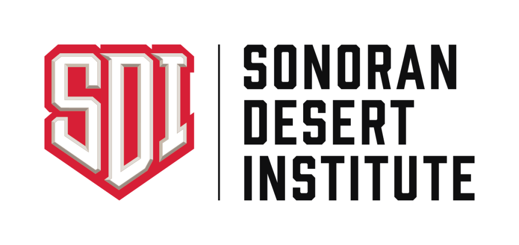 SDI logo