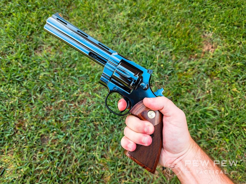 Colt Python In Hand