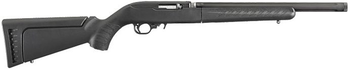 Ruger 10/22 Takedown Heavy Barrel