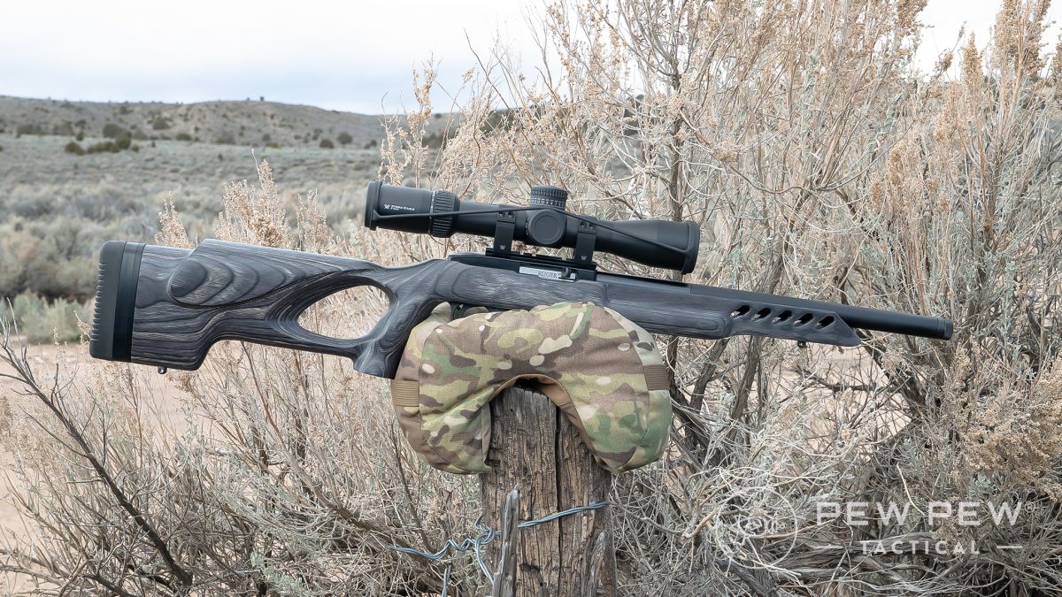 Ruger 10/22 Target Lite